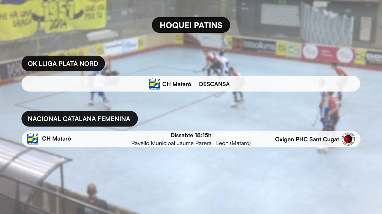 HOQUEI PATINS (1).png