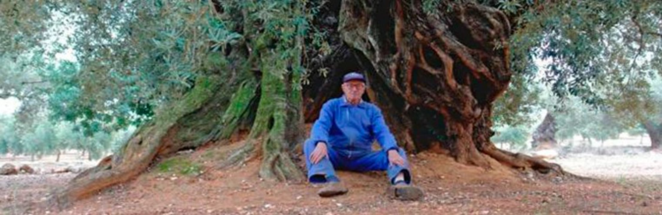 astronomia i agricultura.jpg