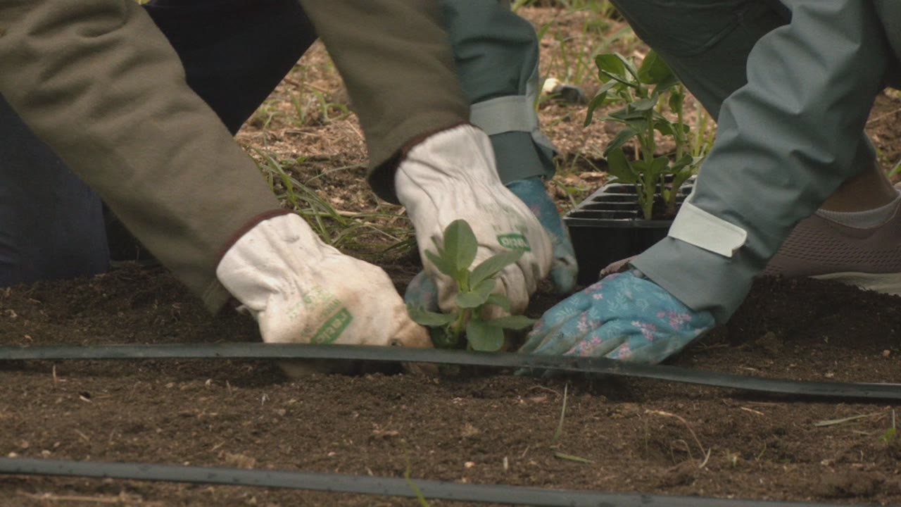lhospital-de-mataro-participa-dun-projecte-europeu-per-analitzar-limpacte-de-la-natura-en-la-salut-mental