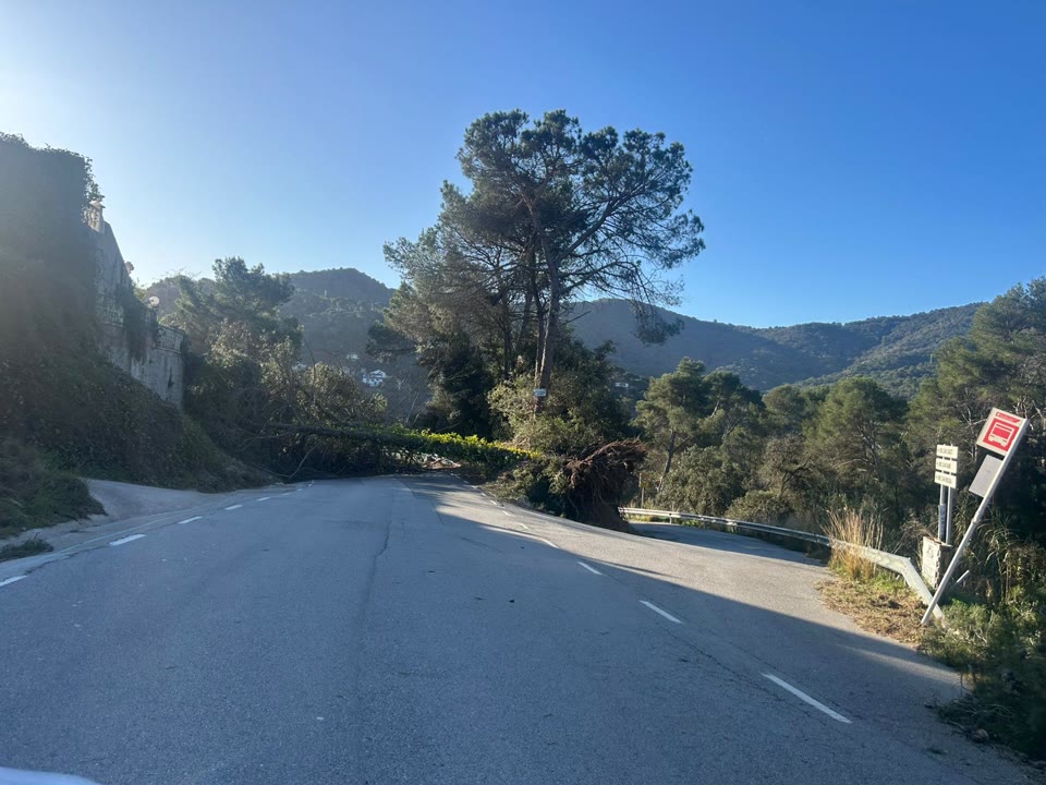 WhatsApp Image 2026-02-12 at 10.02.56.jpeg