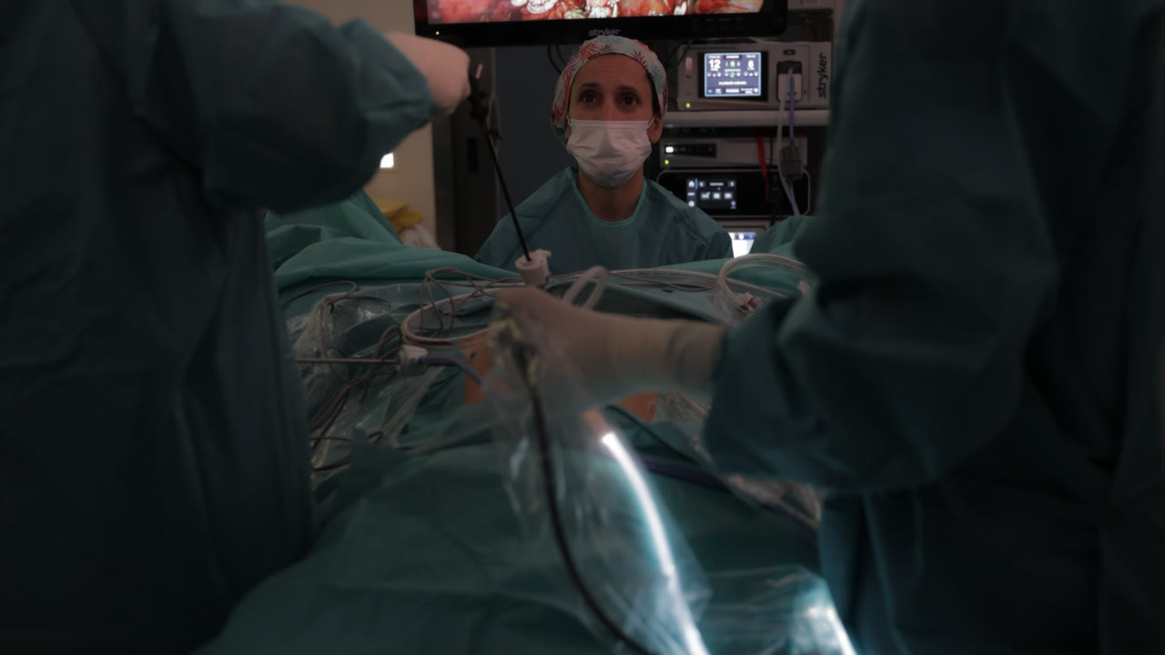 Capítol 7_captura_2.png