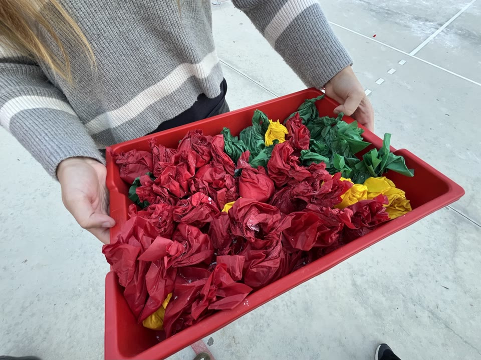 Camí del Mig cos.jpeg