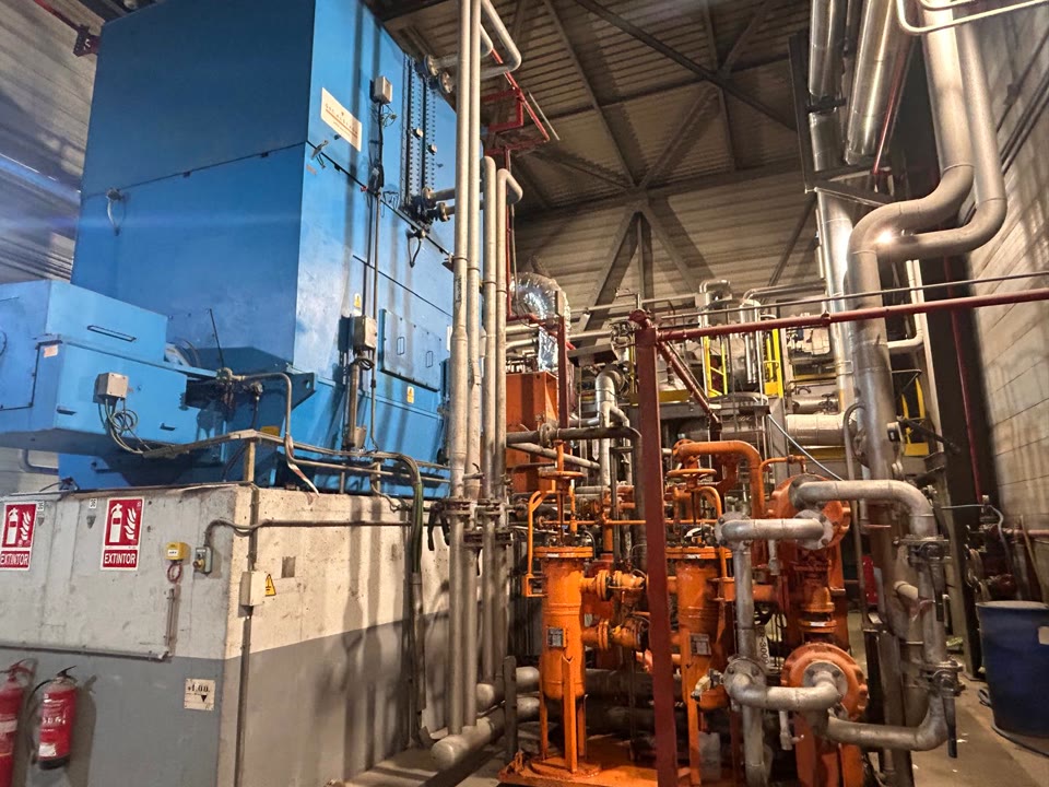 WhatsApp Image 2026-04-28 at 11.17.53.jpeg