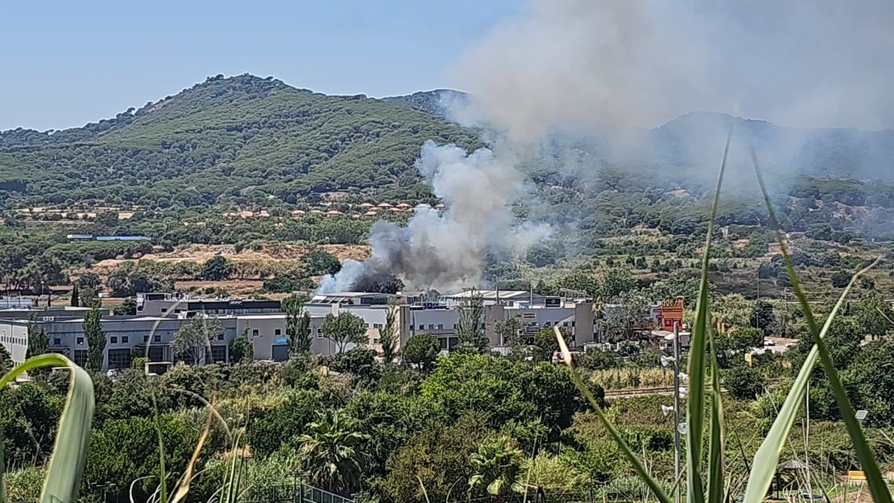 tallat-acces-C-32-argentona-incendi-poligon-can-negoci