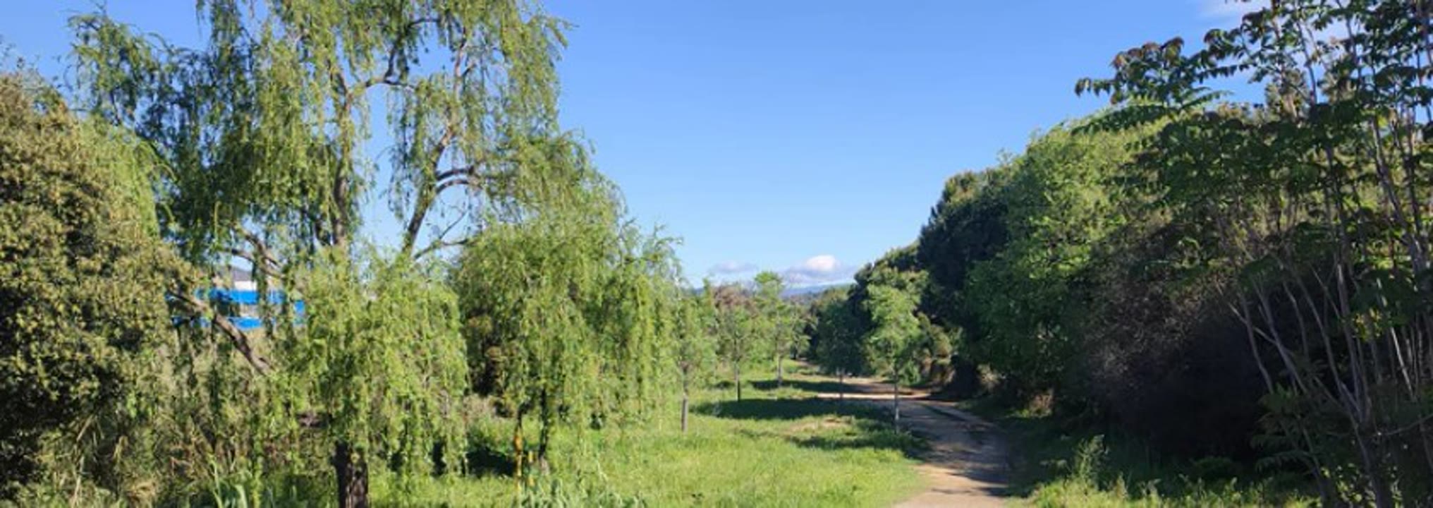 Explora la natura a Mataró La riera d'Argentona.jpg