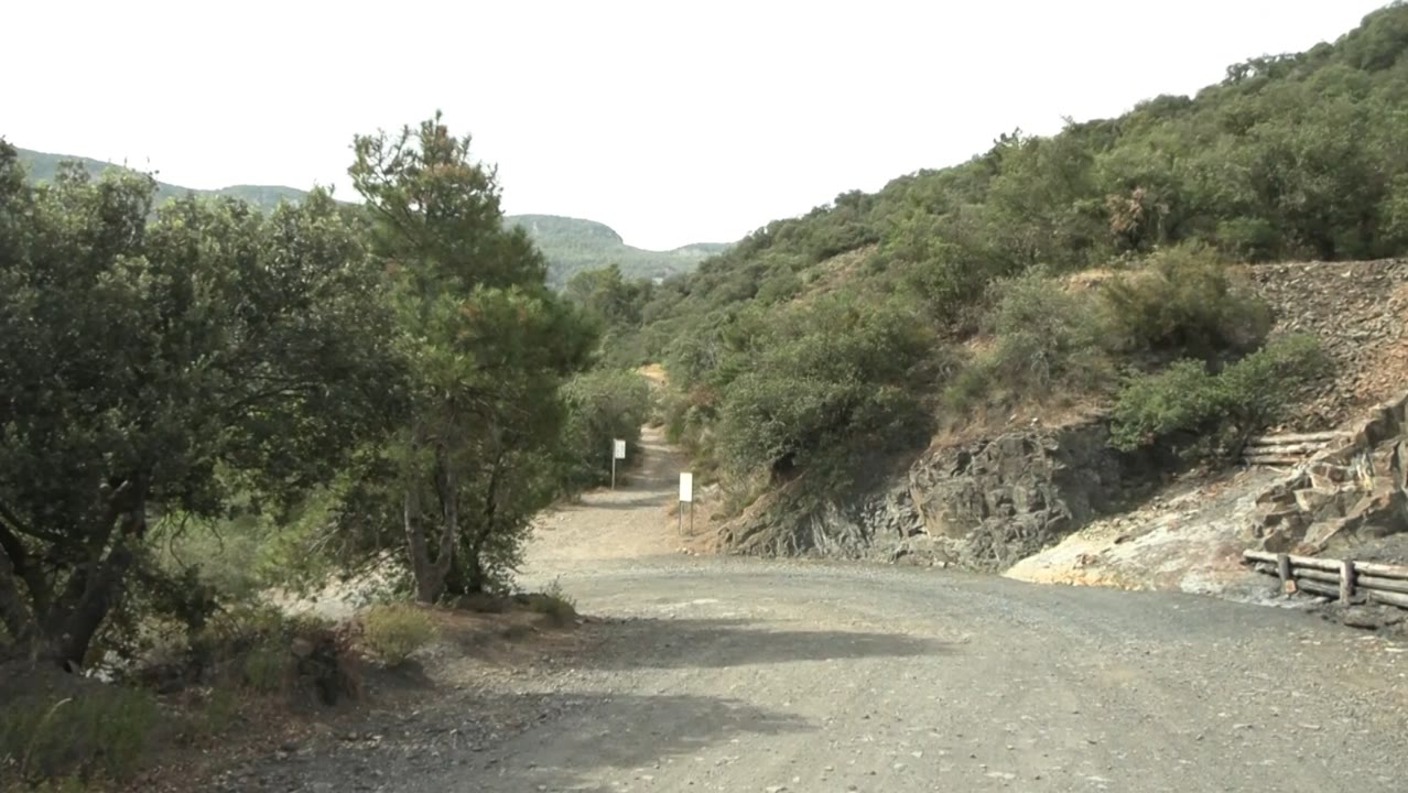 el-consorci-forestal-de-catalunya-demana-netejar-el-sotabosc-per-prevenir-incendis