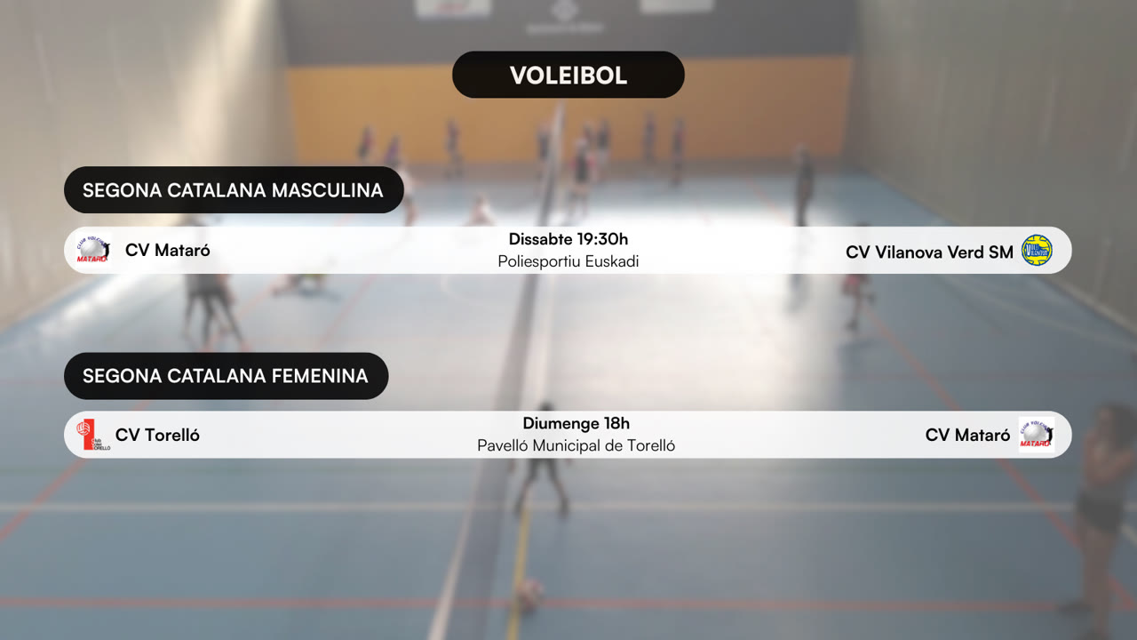 VOLEI (6).png