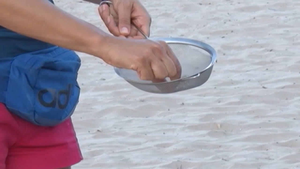 demanen-prevencio-i-investigacio-davant-lamenaca-dels-microplastics