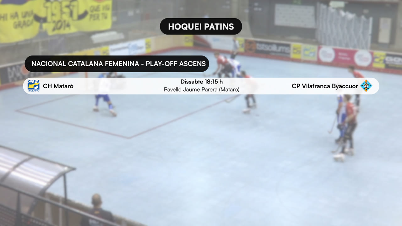 HOQUEI PATINS (4).png