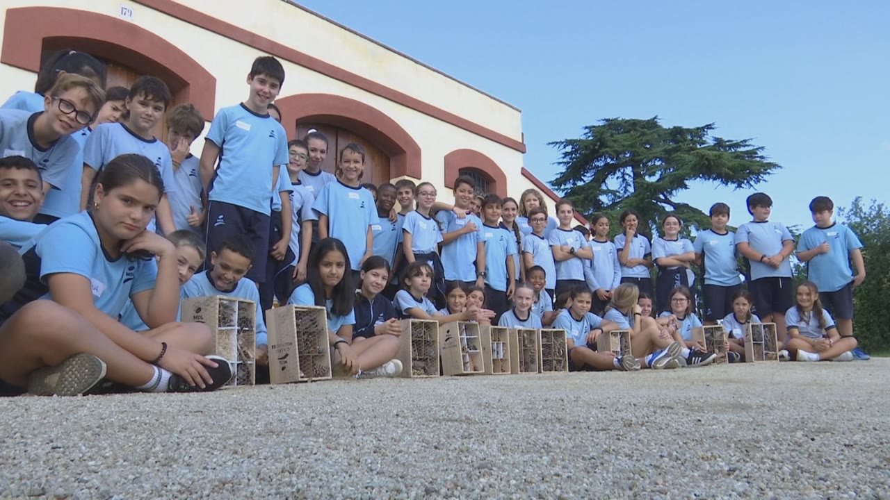alumnes-de-primaria-de-mataro-creen-hotels-dinsectes-per-a-can-parcala-