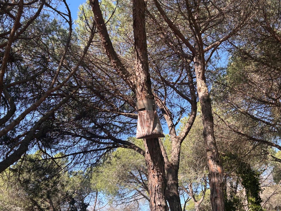 WhatsApp Image 2026-04-14 at 09.57.32 (1).jpeg