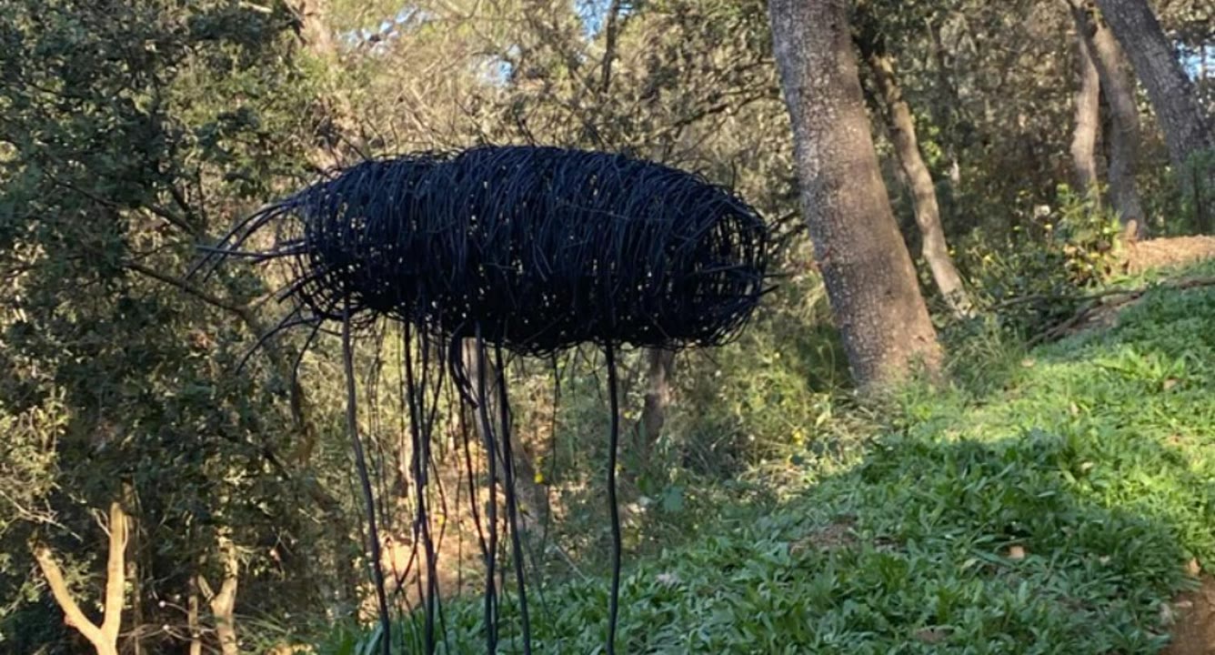 El bosc de pensar.jpg