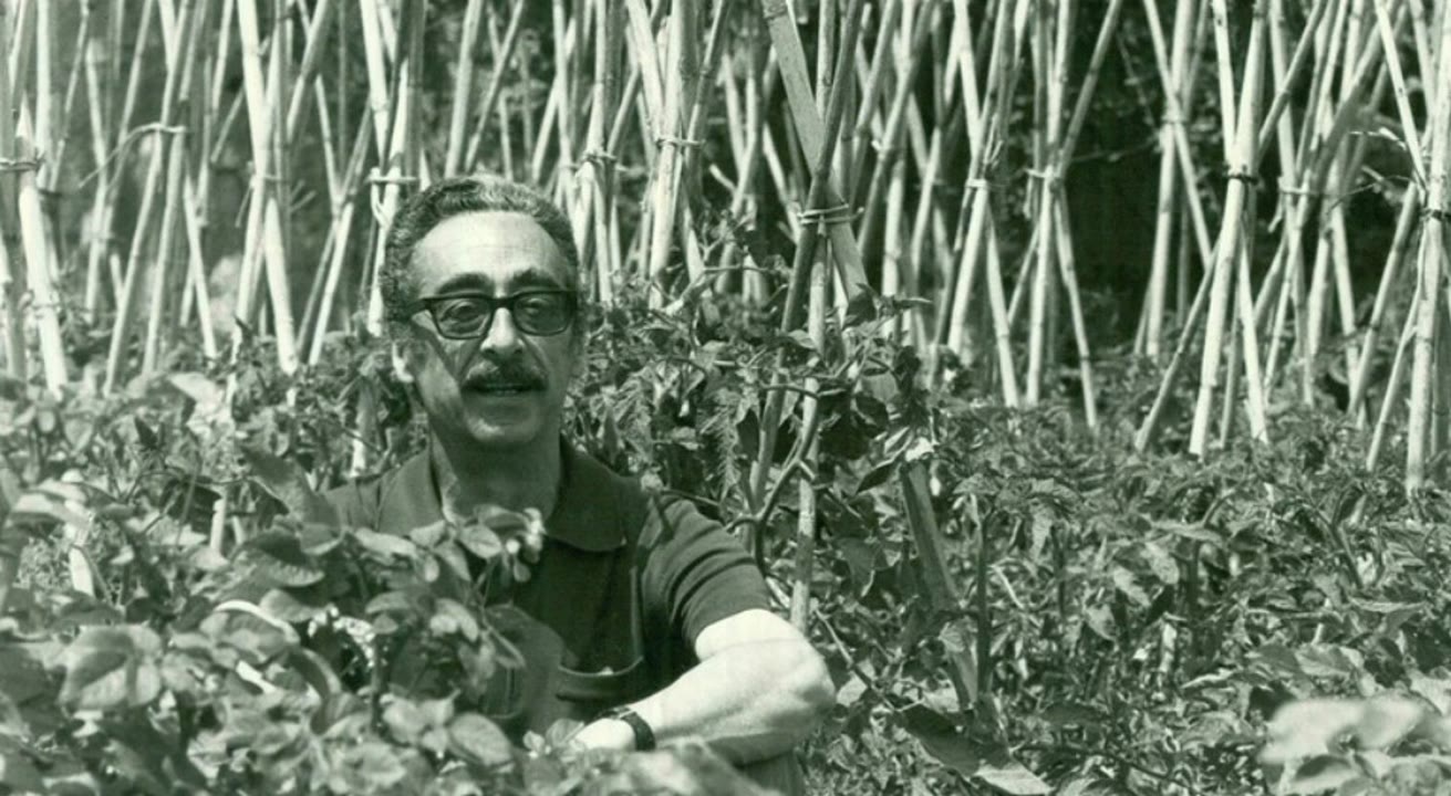 Premi Narrativa Manuel de Pedrolo.jpg