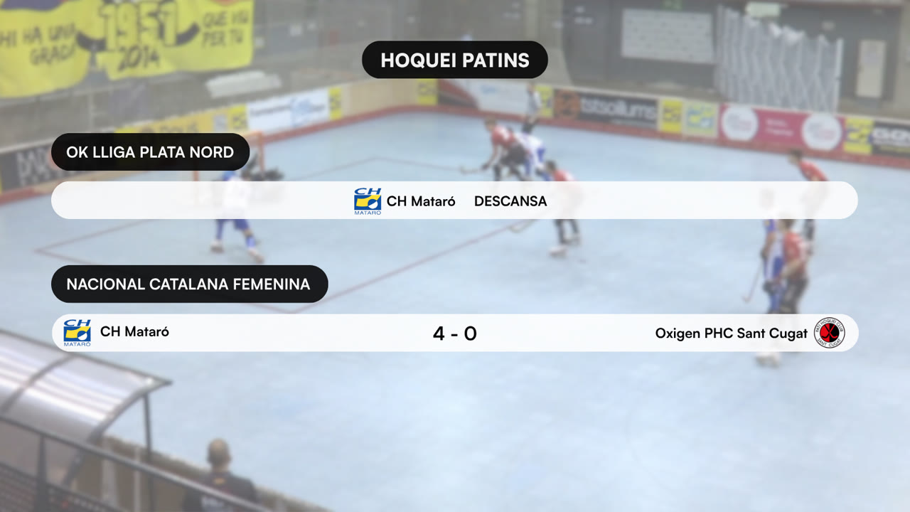 HOQUEI PATINS (1).png