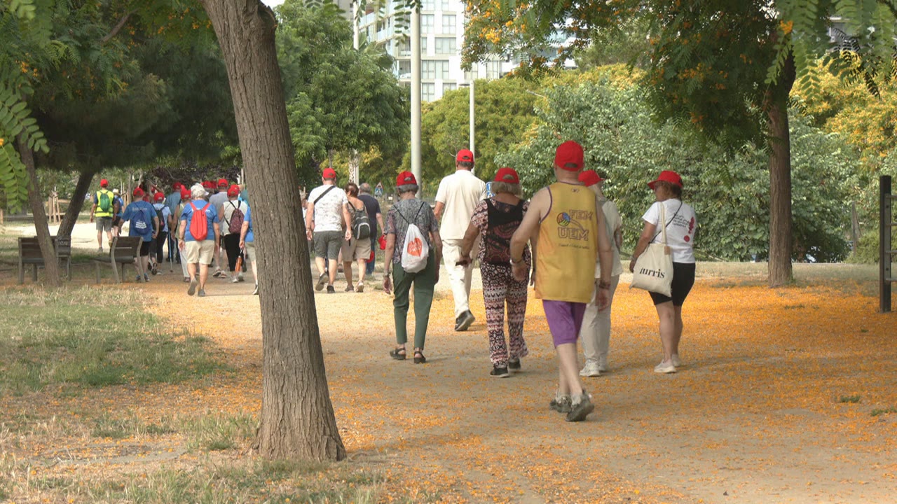 mataro-camina-contra-maltractament-persones-grans