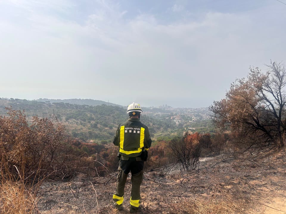 dia-despres-incendi-causes-lupa-agents-rurals