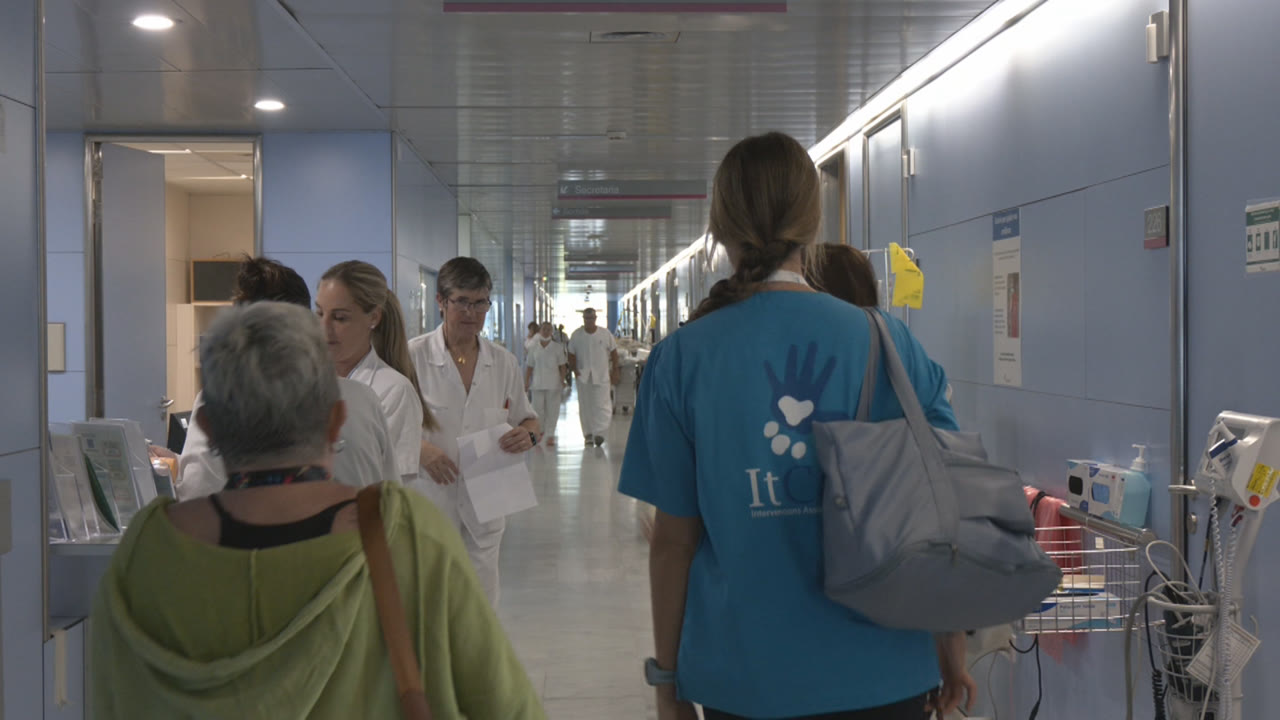 quan-cuidar-es-molt-mes-que-curar