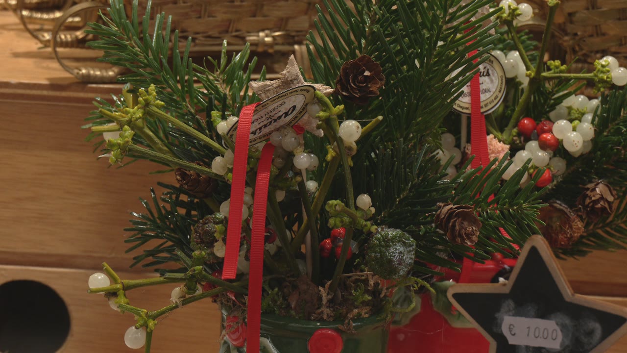 el-cultiu-certificat-lopcio-mes-responsable-per-comprar-les-plantes-de-nadal