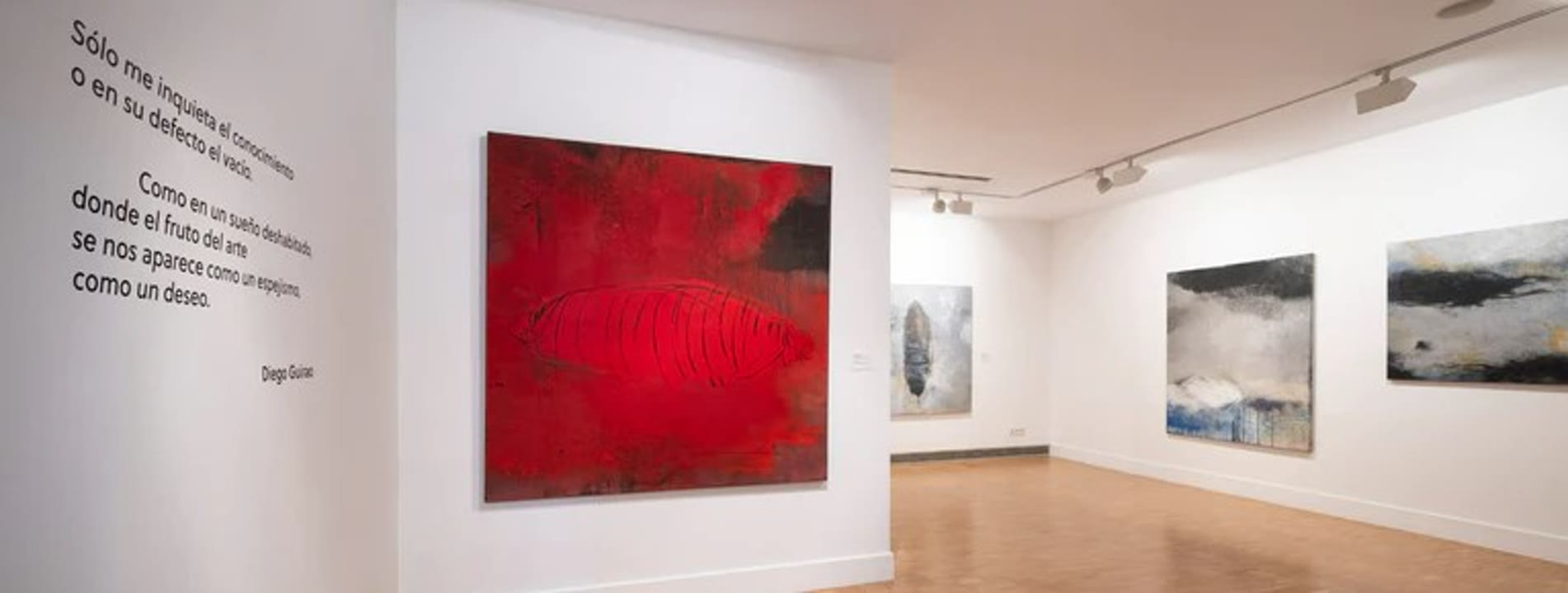 Diego Guirao Sense títol.jpg