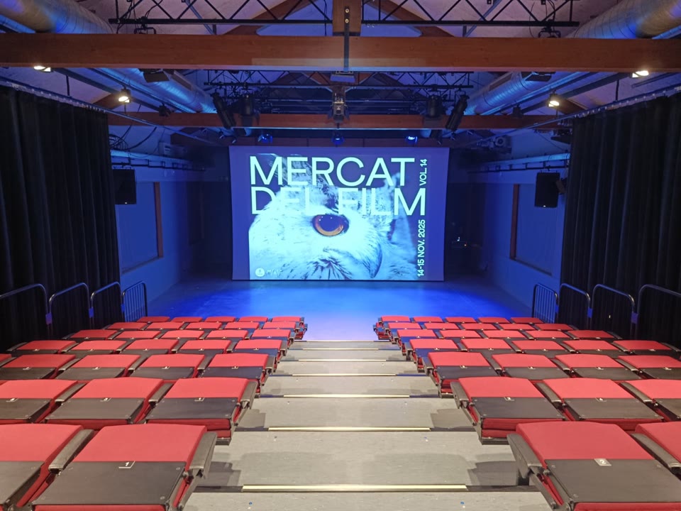 <p>En marxa la 14a edició del Mercat del Film</p>
