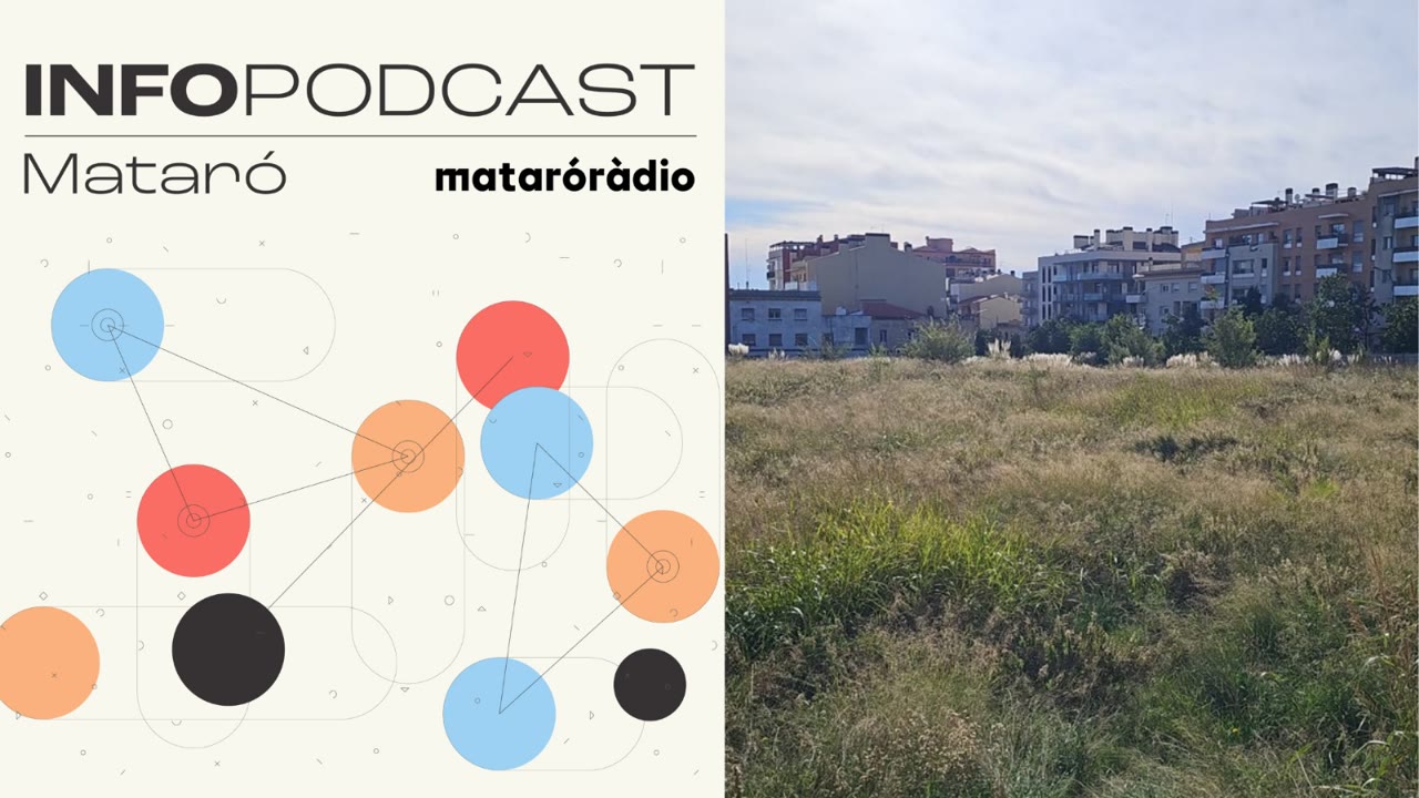 linfopodcast-del-18-de-novembre-de-2025