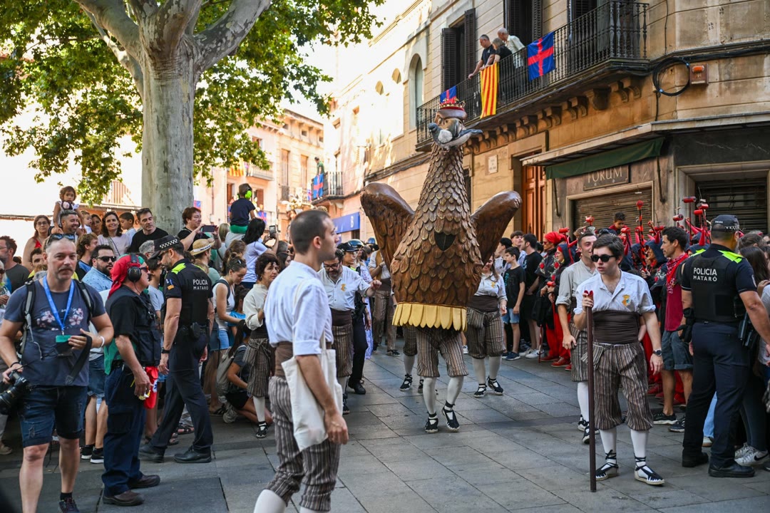 ofici àliga.jpeg