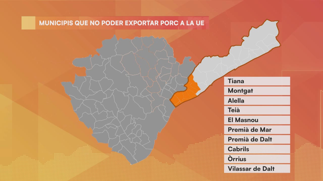 prohibeixen-a-deu-municipis-del-maresme-exportar-porc-a-la-ue-per-la-pesta