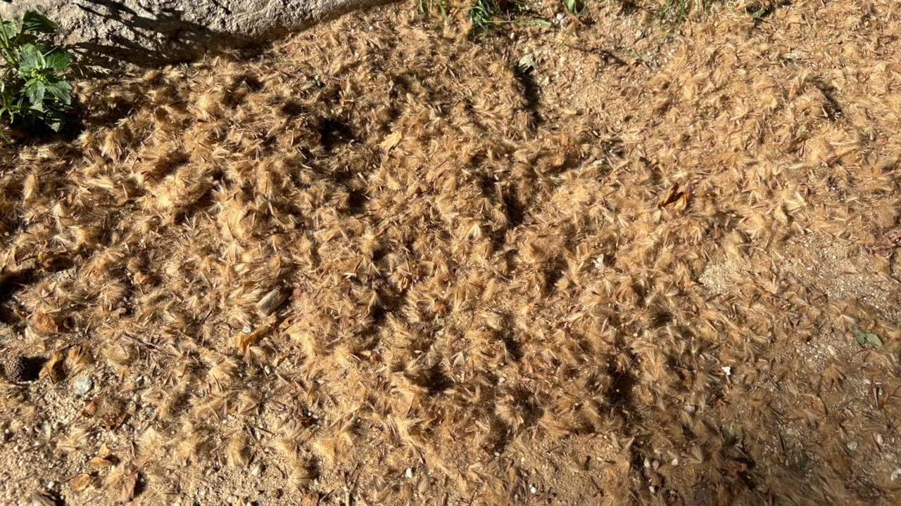 WhatsApp Image 2026-04-24 at 17.23.48.jpeg