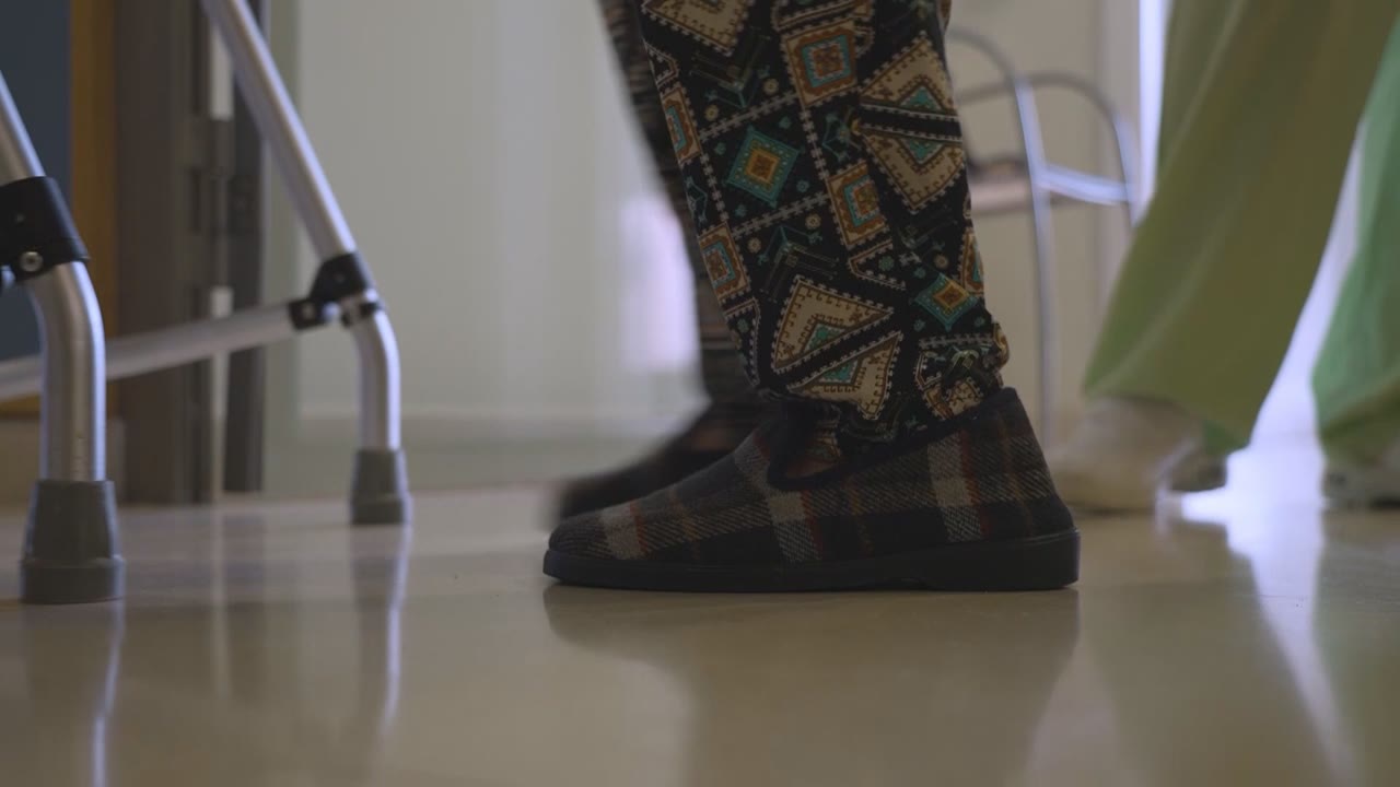 mes-de-80-avis-maltractats-al-maresme-el-2024