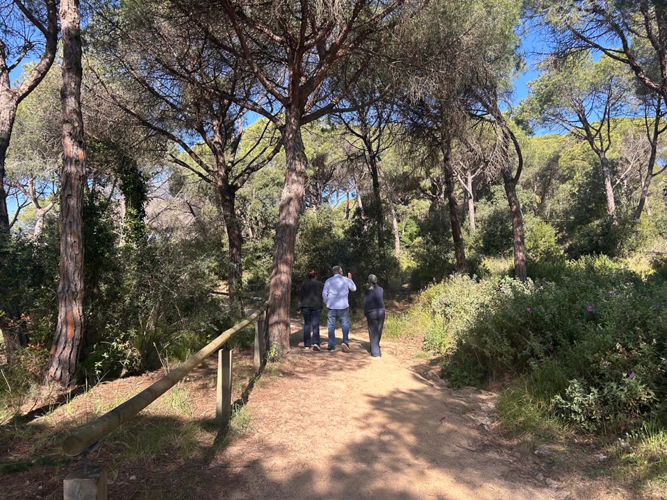 <p class="MsoNormal" style="line-height:150%;">El Parc Forestal es prepara per l’arribada de l’estiu<span style="font-family:Satoshi;"><span style="mso-ansi-language:CA;" lang="CA"><strong><o:p></o:p></strong></span></span></p>