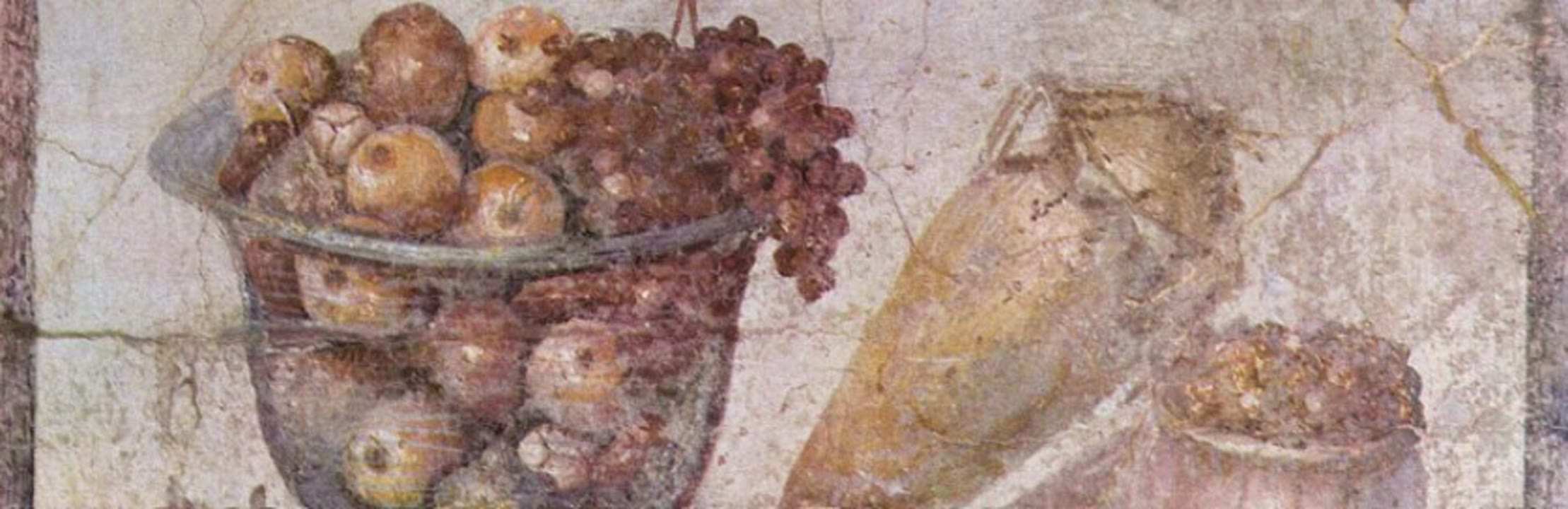 L'hortus de la vil·la romana.jpg