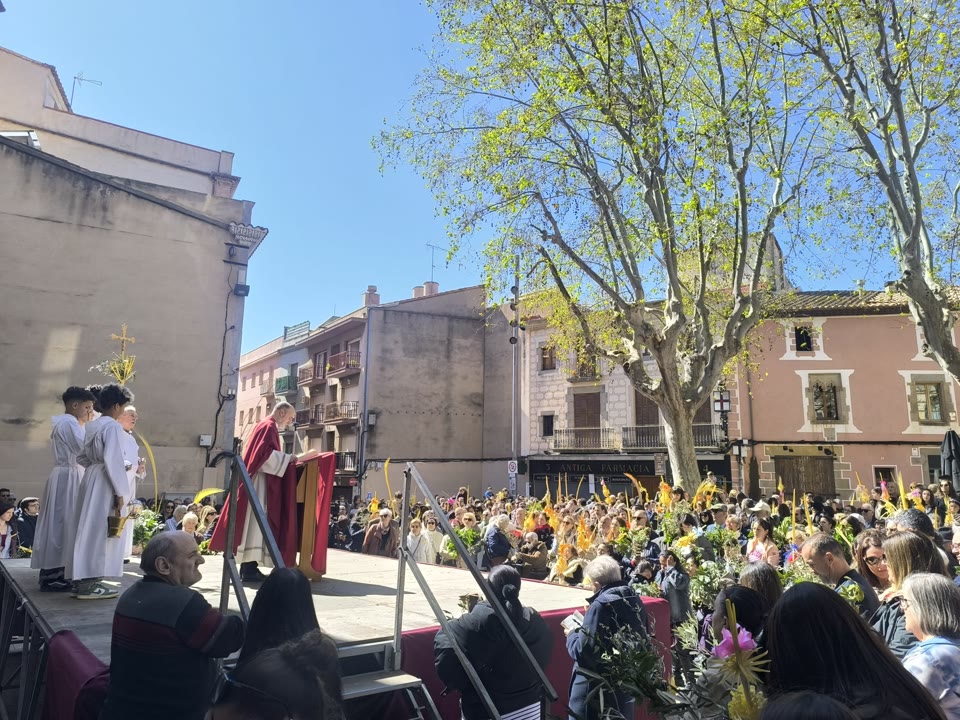 Rams per dins notícia.jpeg