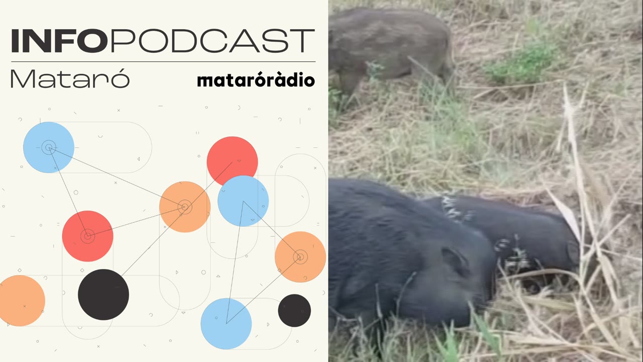 linfopodcast-del-5-de-desembre-de-2025