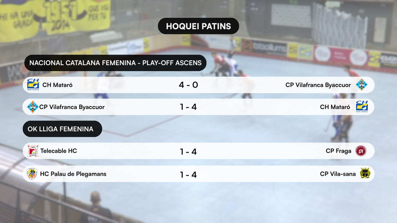 HOQUEI PATINS (7).png