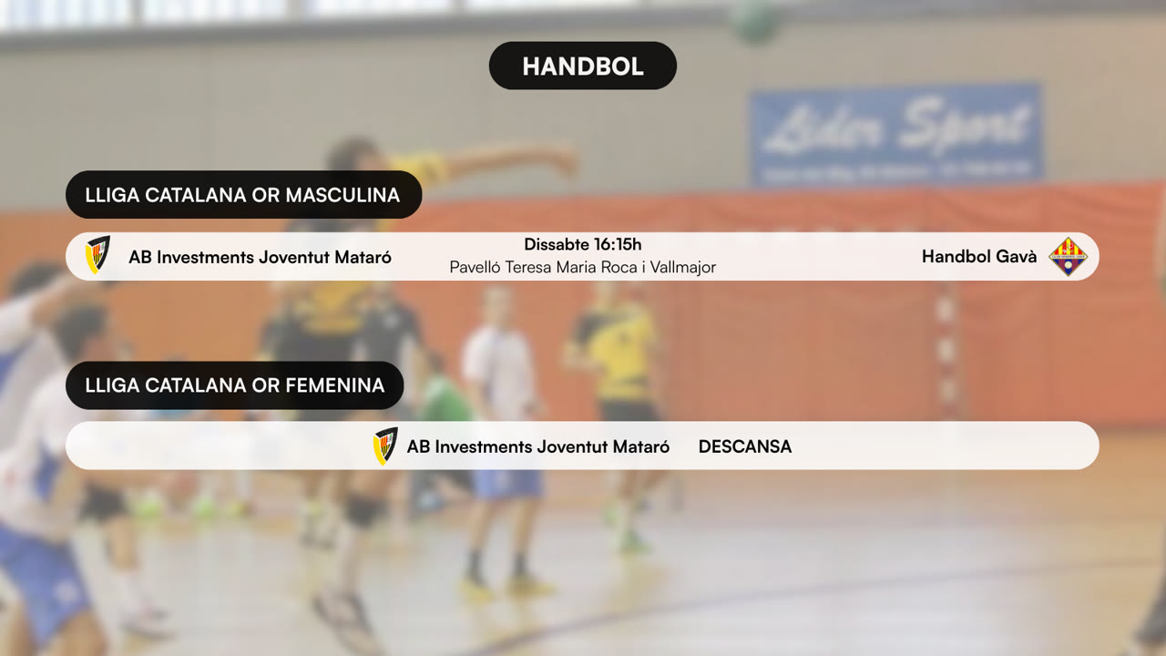 HANDBOL (9).png