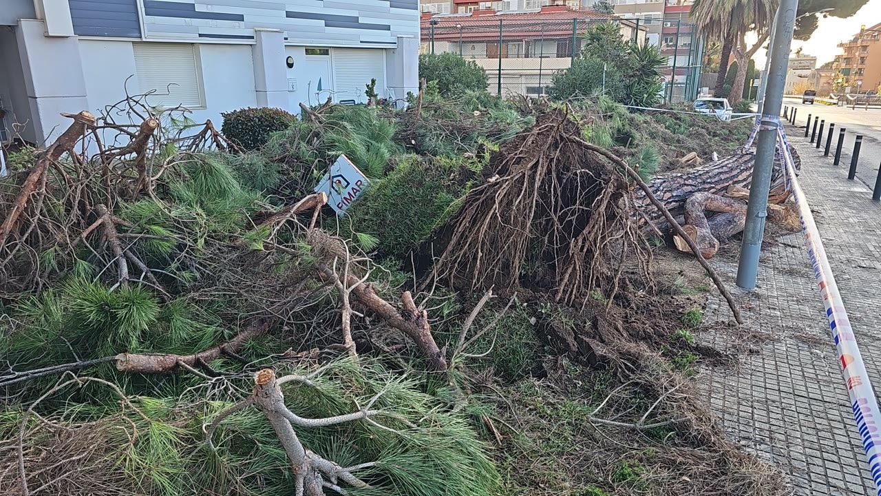 WhatsApp Image 2025-12-28 at 09.43.24.jpeg