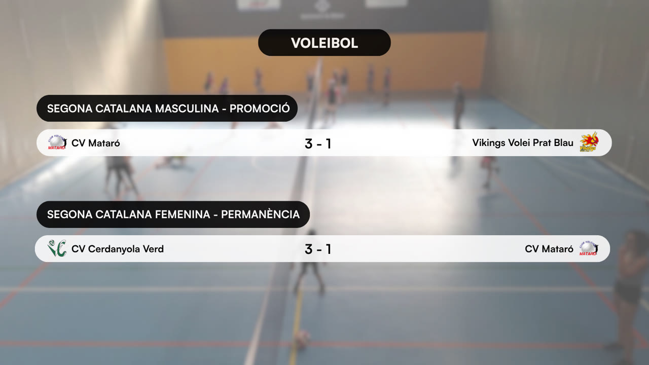 VOLEI (7).png