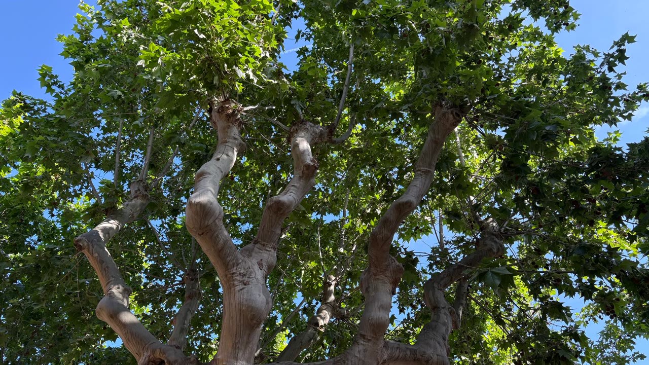 WhatsApp Image 2026-04-24 at 17.23.49.jpeg