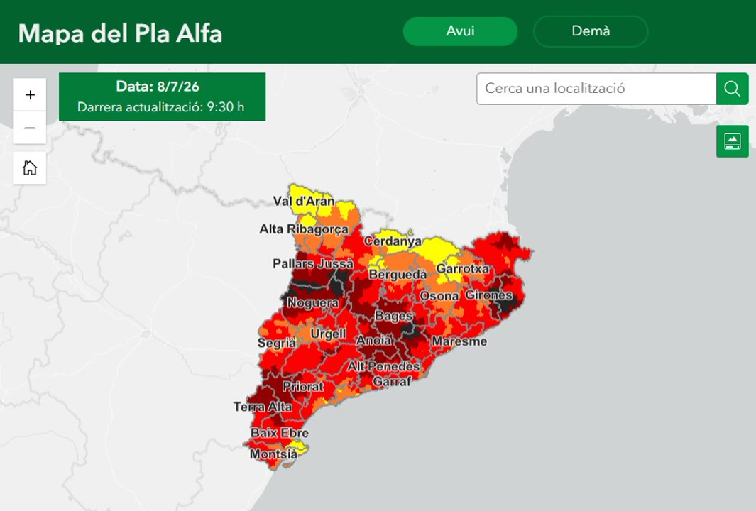 Pla Alfa.jpg