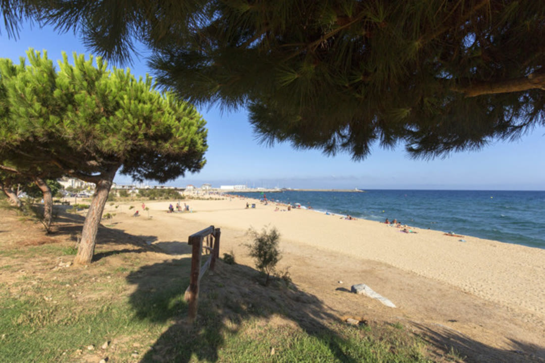 platja_de_la_picordia_arenys_de_mar_1_a649x433webp.jpg
