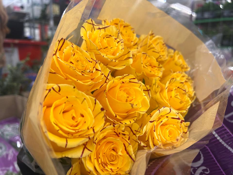 WhatsApp Image 2026-04-16 at 11.07.34 (1).jpeg