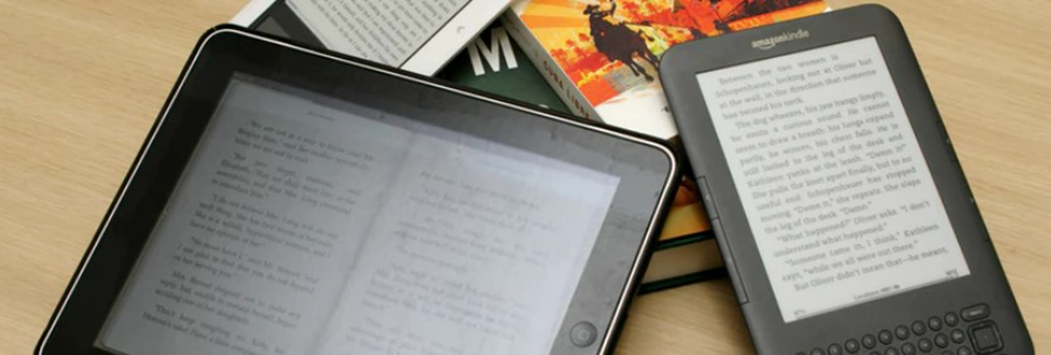 Bibliodigital.jpg