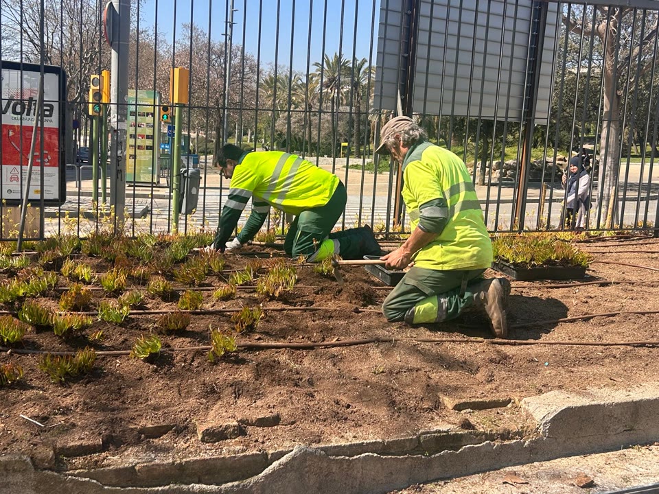 WhatsApp Image 2026-03-26 at 14.49.28 (1).jpeg