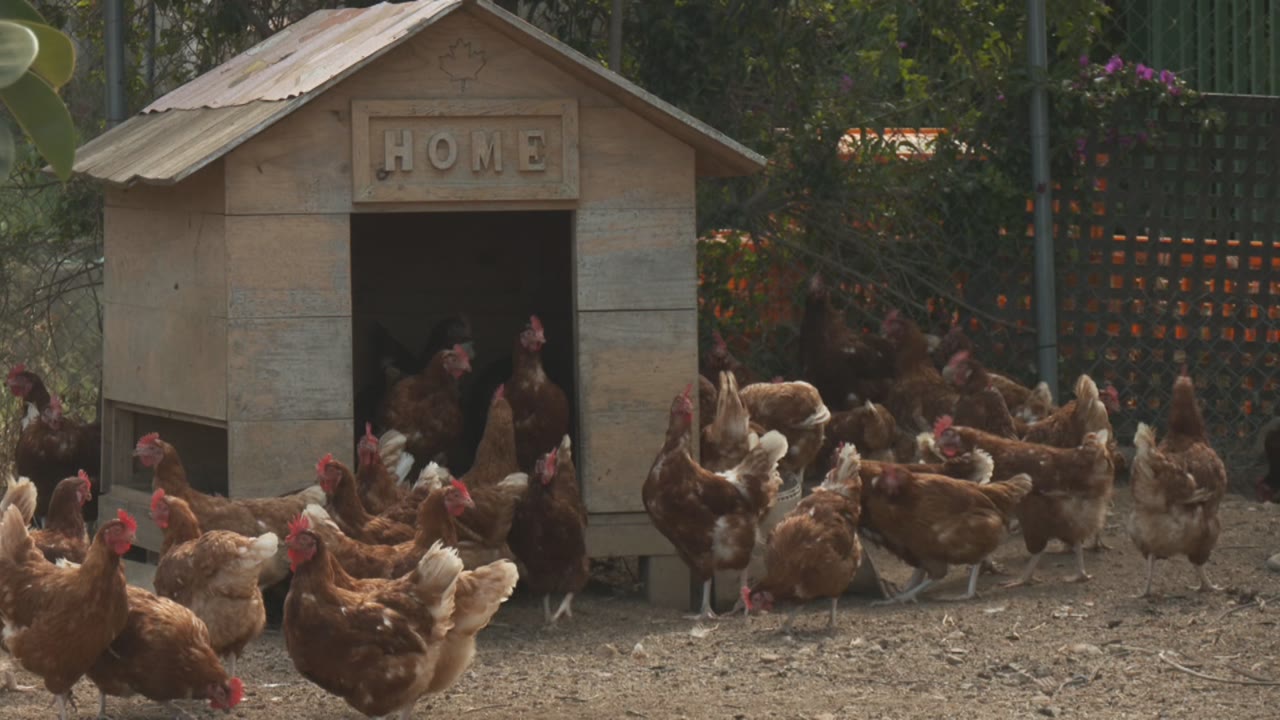 la-klosca-ous-ecologics-amb-valor-social