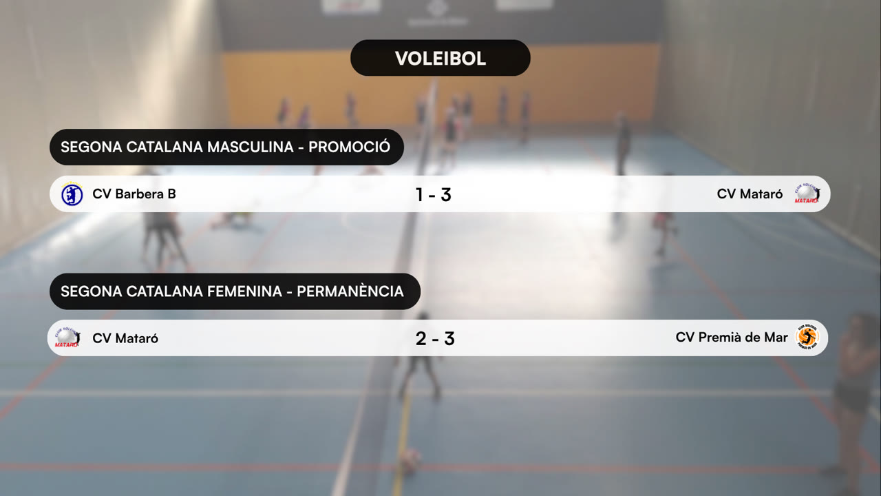 VOLEI (4).png