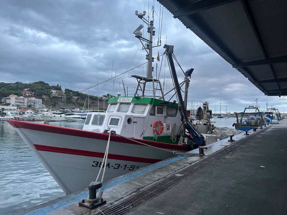 el-canvi-dhabits-de-la-ciutadania-fa-caure-un-40-el-consum-de-peix-fresc-en-els-ultims-15-anys