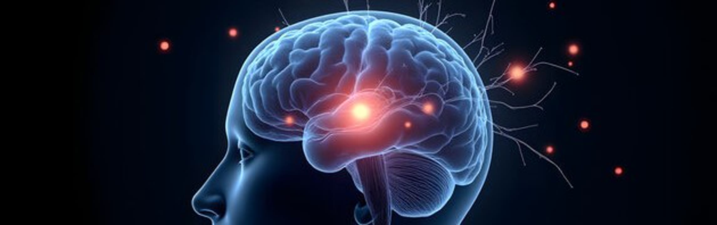 Curs intensiu d'activació de la Glàndula Pineal.jpg