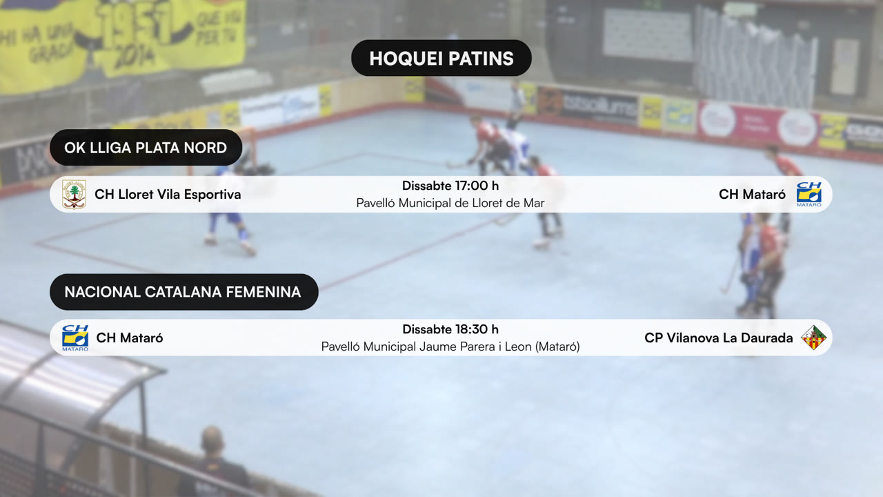 HOQUEI PATINS (2).png