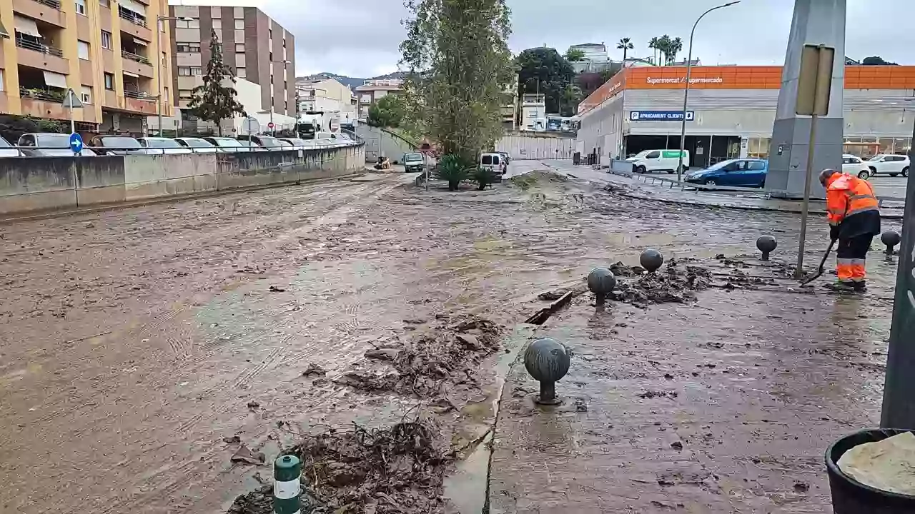 Pineda.jpeg