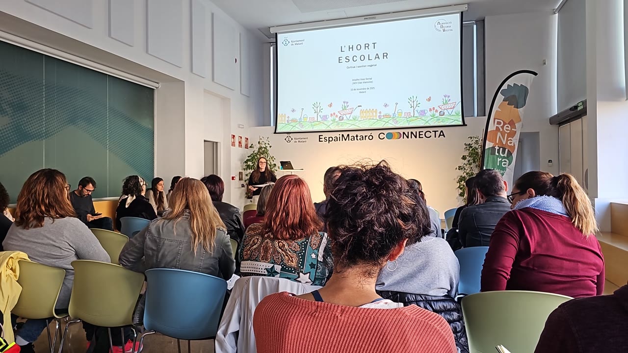 la-vegetacio-que-permetra-convertir-els-patis-escolars-en-refugis-climatics-es-plantara-aquest-hivern